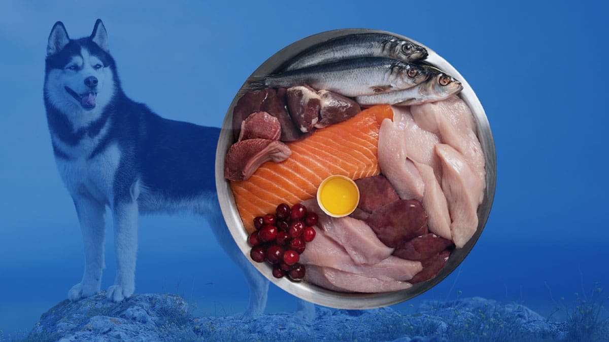 wholeprey diet for pets in Lebanon